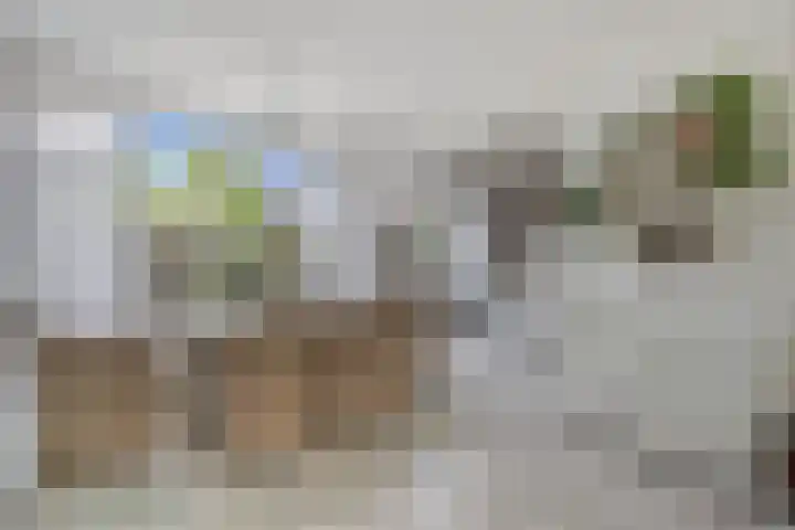 De Weer 106 Zaandam thumbnail 13