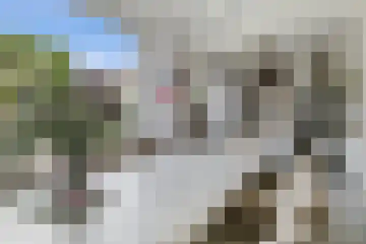 De Weer 106 Zaandam thumbnail 14