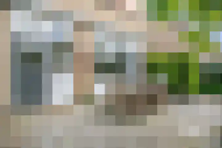 De Weer 106 Zaandam thumbnail 33