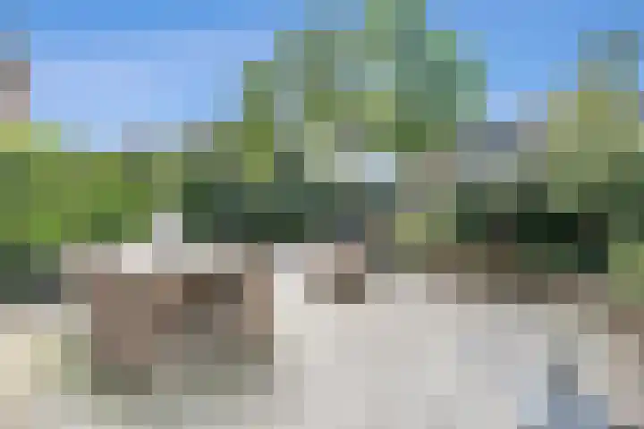 De Weer 106 Zaandam thumbnail 34