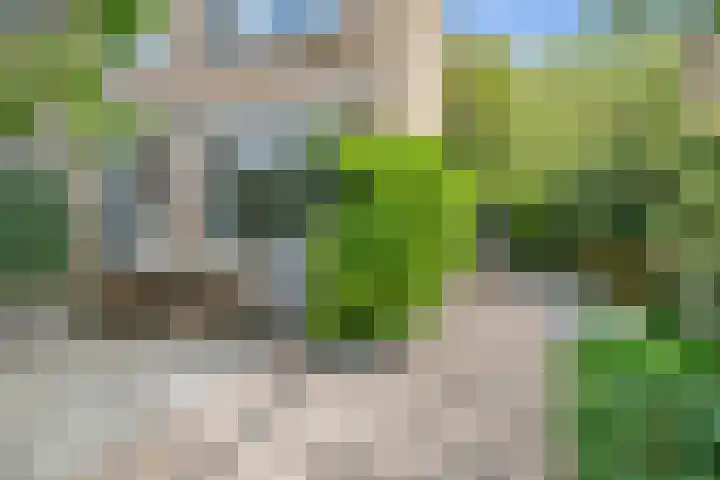 De Weer 106 Zaandam thumbnail 37