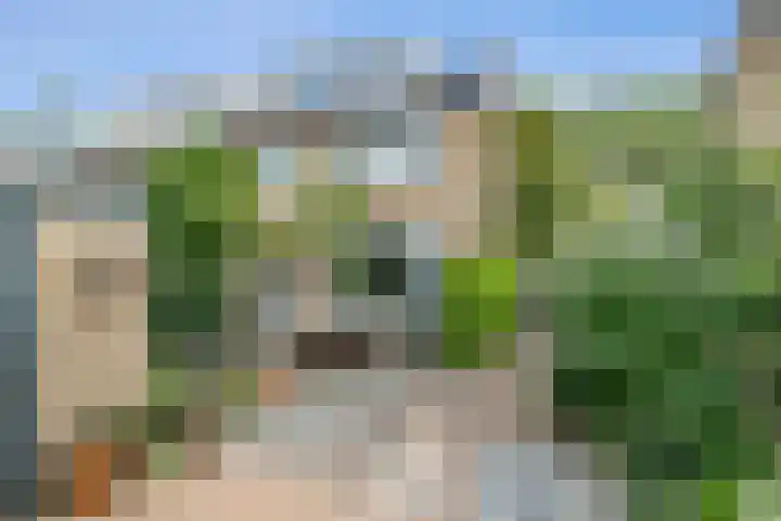 De Weer 106 Zaandam thumbnail 38