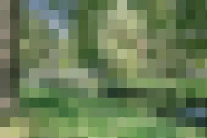 De Weer 106 Zaandam thumbnail 41