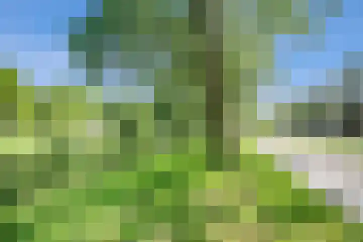 De Weer 106 Zaandam thumbnail 42
