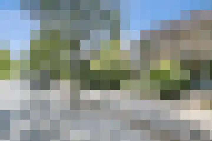 De Weer 106 Zaandam thumbnail 6