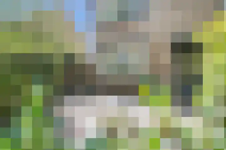De Weer 106 Zaandam thumbnail 7