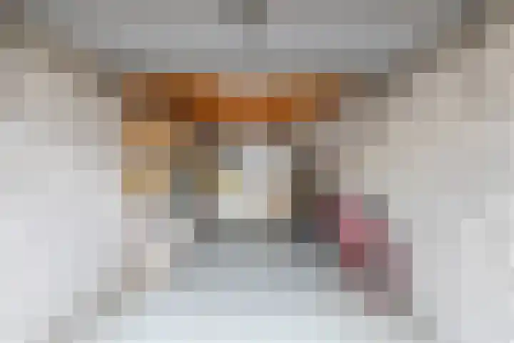 De Weer 113 Zaandam thumbnail 10