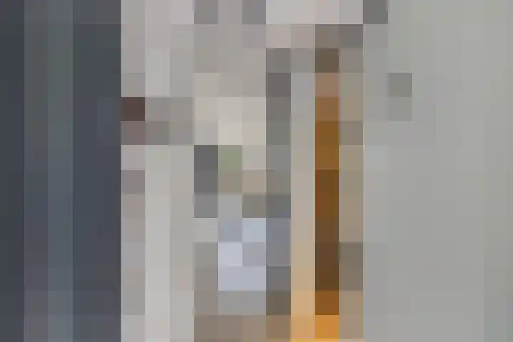 De Weer 113 Zaandam thumbnail 11