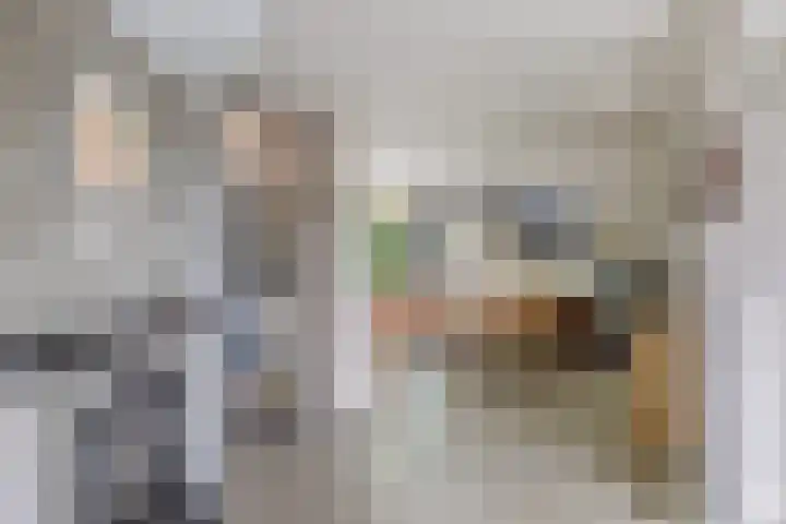 De Weer 113 Zaandam thumbnail 13