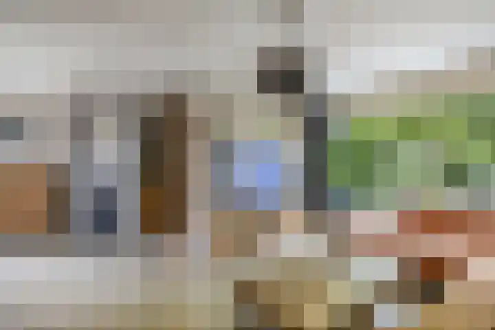 De Weer 113 Zaandam thumbnail 15