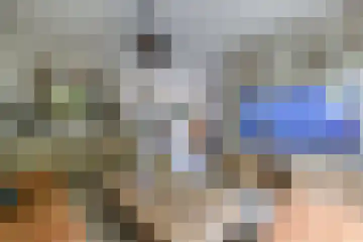De Weer 113 Zaandam thumbnail 16