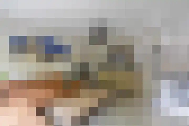 De Weer 113 Zaandam thumbnail 17