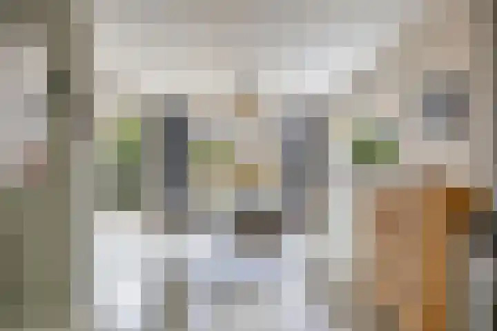 De Weer 113 Zaandam thumbnail 18