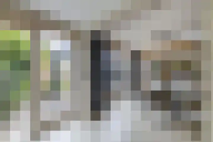 De Weer 113 Zaandam thumbnail 21