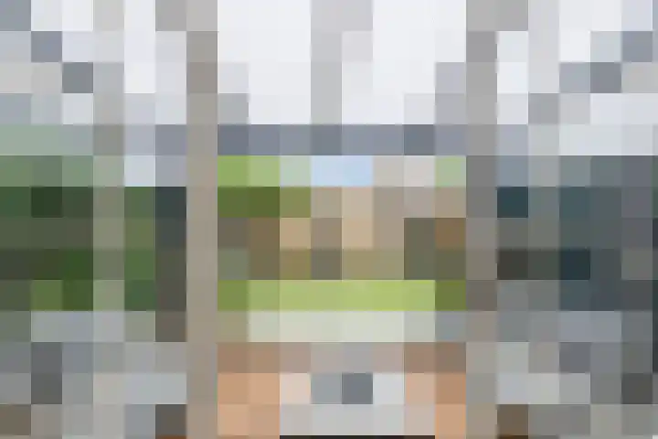 De Weer 113 Zaandam thumbnail 24