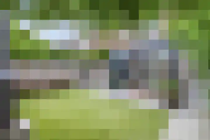 De Weer 113 Zaandam thumbnail 27