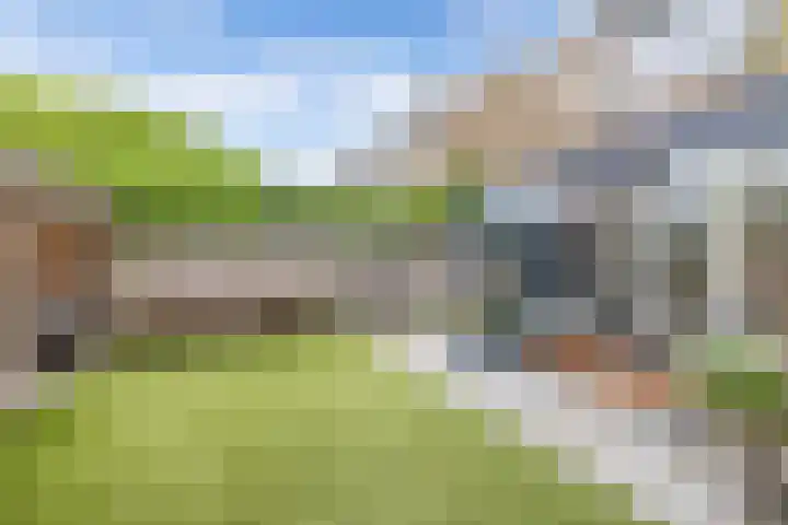 De Weer 113 Zaandam thumbnail 28