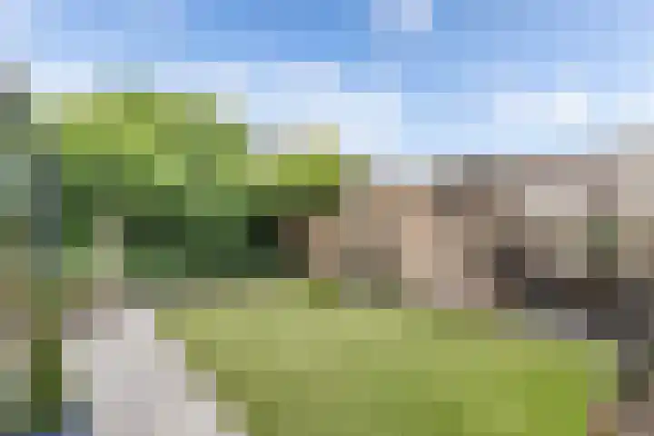 De Weer 113 Zaandam thumbnail 29