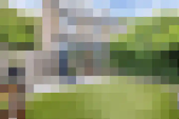 De Weer 113 Zaandam thumbnail 31