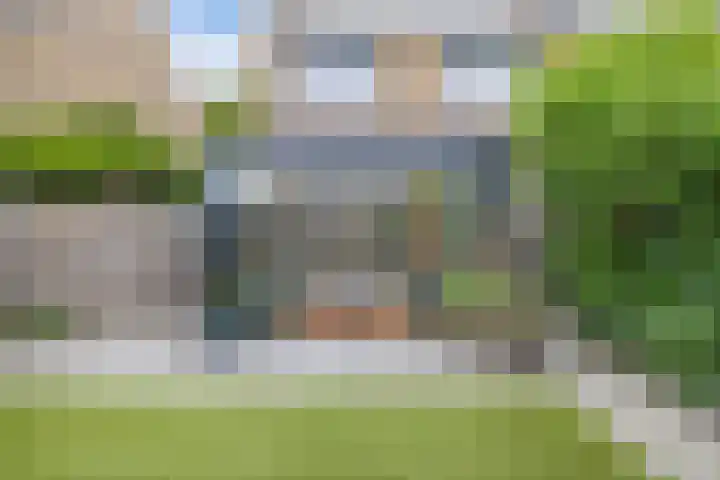 De Weer 113 Zaandam thumbnail 33