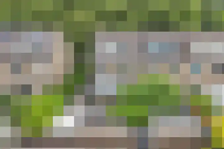 De Weer 113 Zaandam thumbnail 34