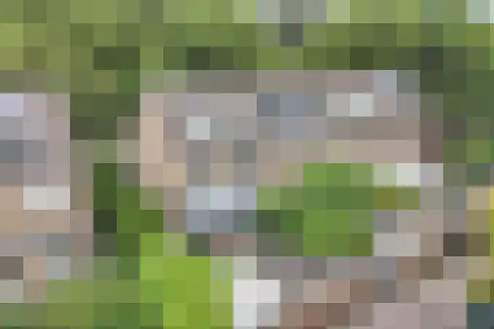 De Weer 113 Zaandam thumbnail 35