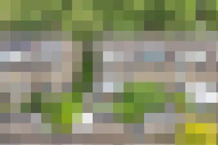 De Weer 113 Zaandam thumbnail 36