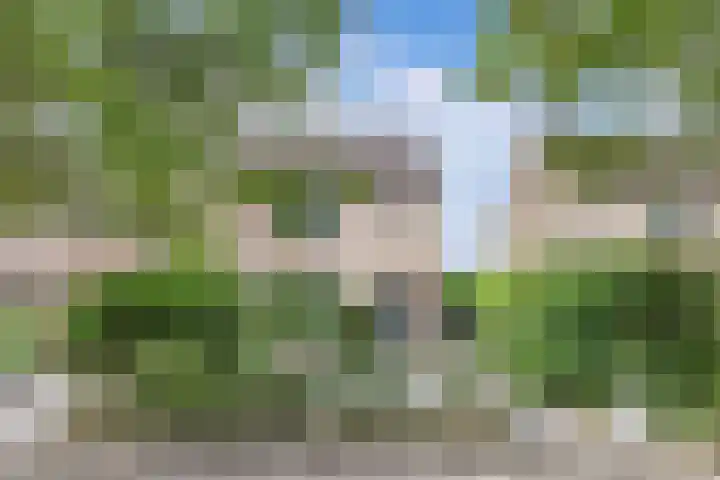 De Weer 113 Zaandam thumbnail 4