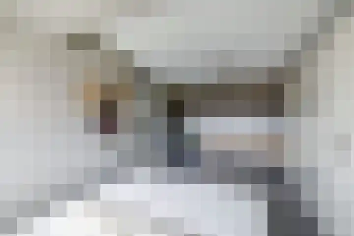 De Weer 113 Zaandam thumbnail 40