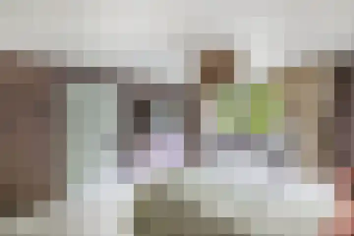 De Weer 113 Zaandam thumbnail 41