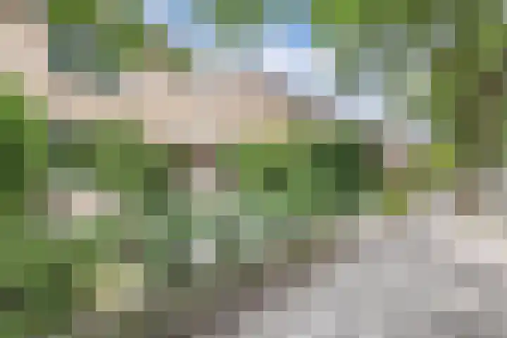 De Weer 113 Zaandam thumbnail 5
