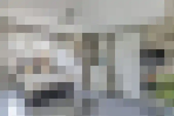 De Weer 113 Zaandam thumbnail 50