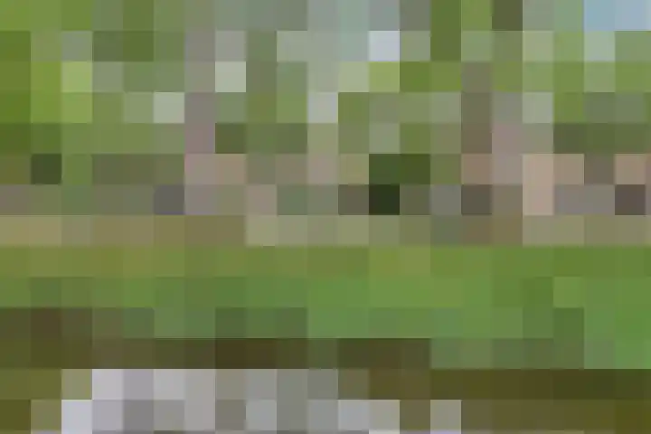 De Weer 113 Zaandam thumbnail 6