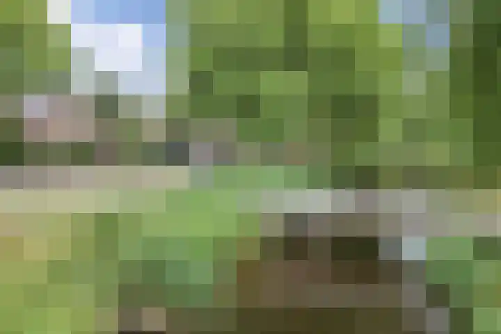 De Weer 113 Zaandam thumbnail 8
