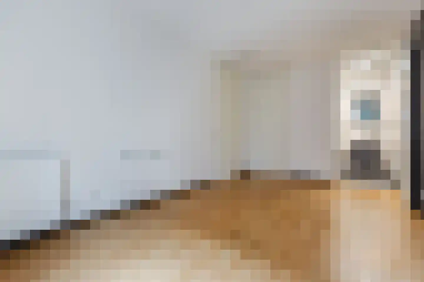 De Weer 148 Zaandam thumbnail 20
