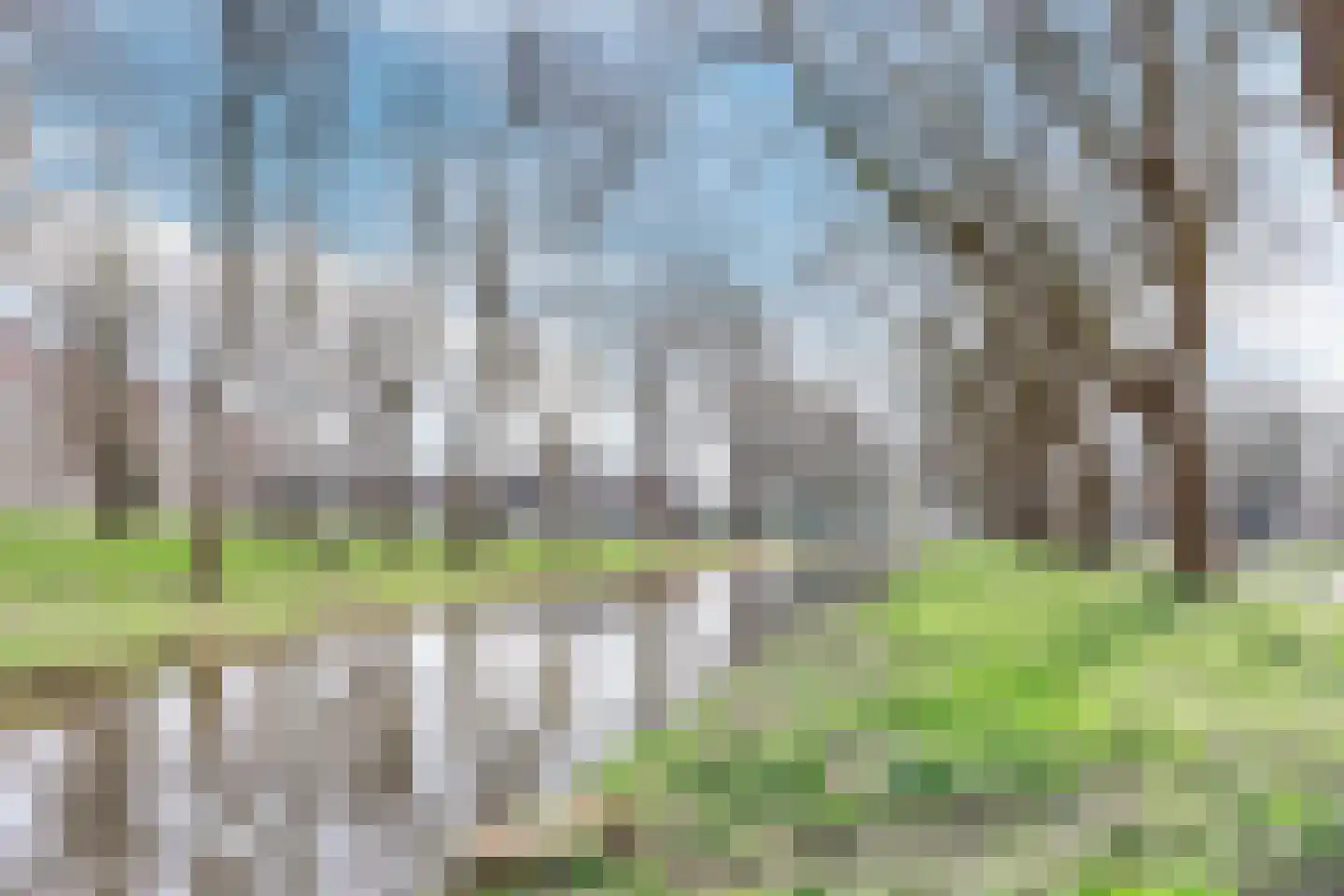 De Weer 148 Zaandam thumbnail 34