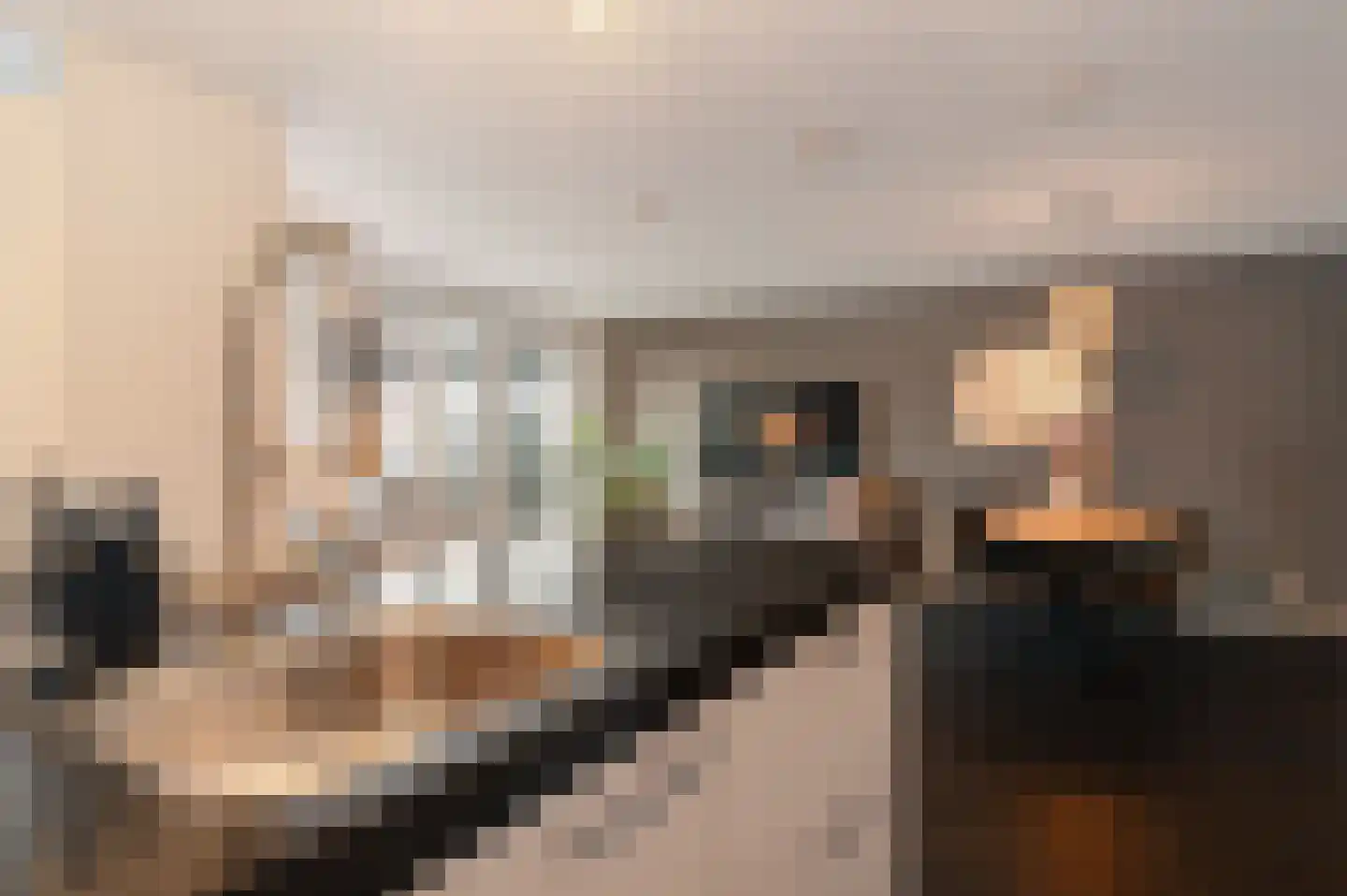 De Weer 151 Zaandam thumbnail 13
