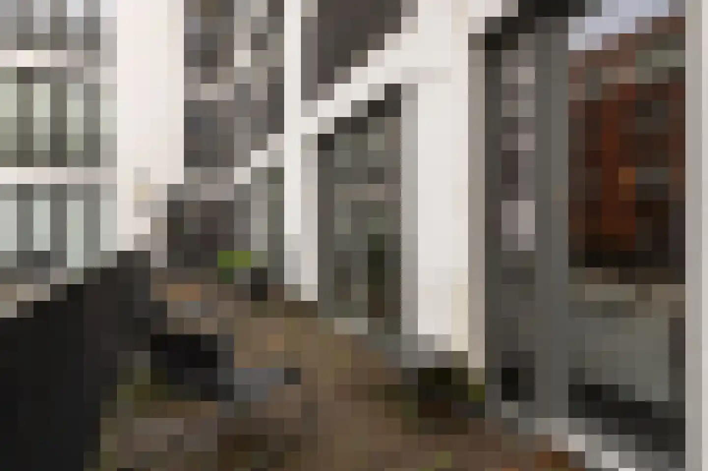De Weer 151 Zaandam thumbnail 15