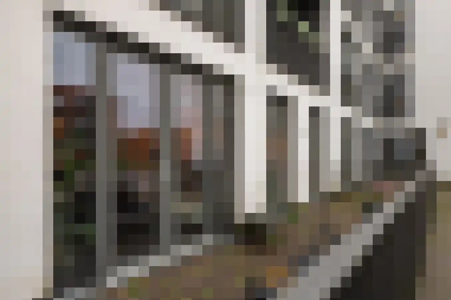 De Weer 151 Zaandam thumbnail 17