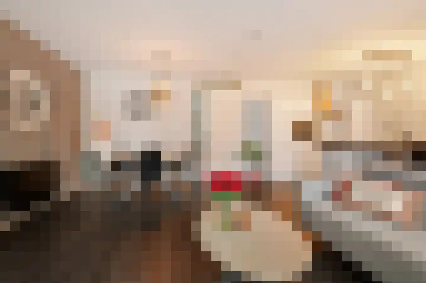De Weer 151 Zaandam thumbnail 8