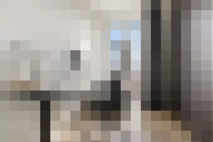 De Weer 186 Zaandam thumbnail 26