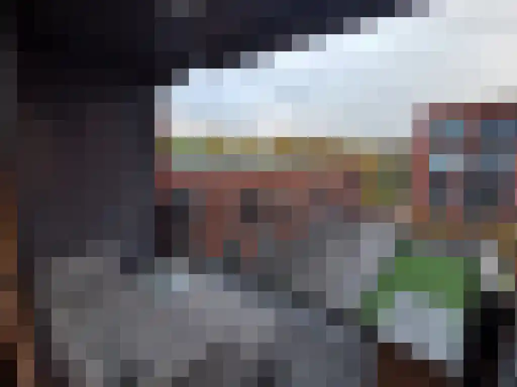 De Weer 187 Zaandam thumbnail 5
