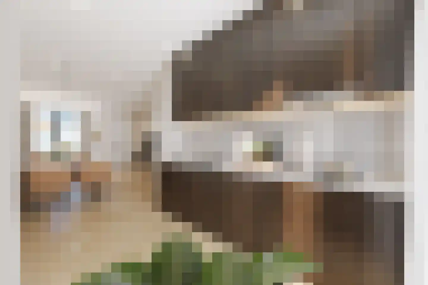 De Weer 24 M Zaandam thumbnail 6