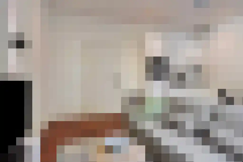 De Weer 26 Zaandam thumbnail 4