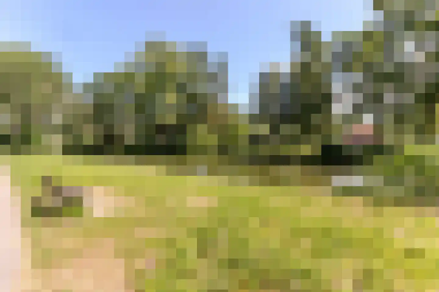 De Weer 38 C Zaandam thumbnail 29