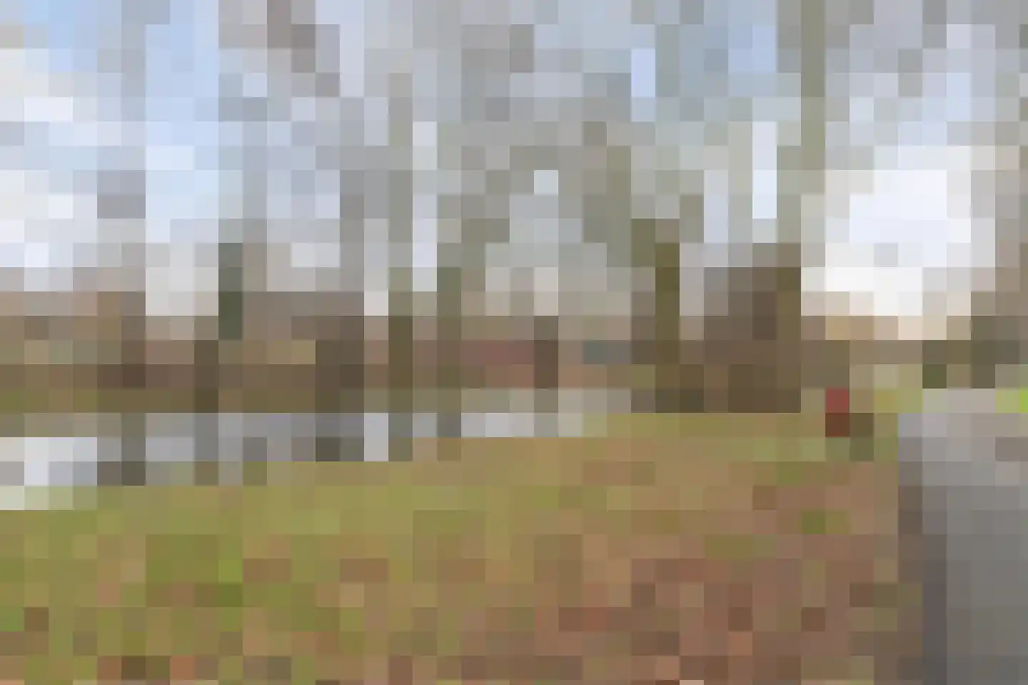 De Weer 38 H Zaandam thumbnail 36