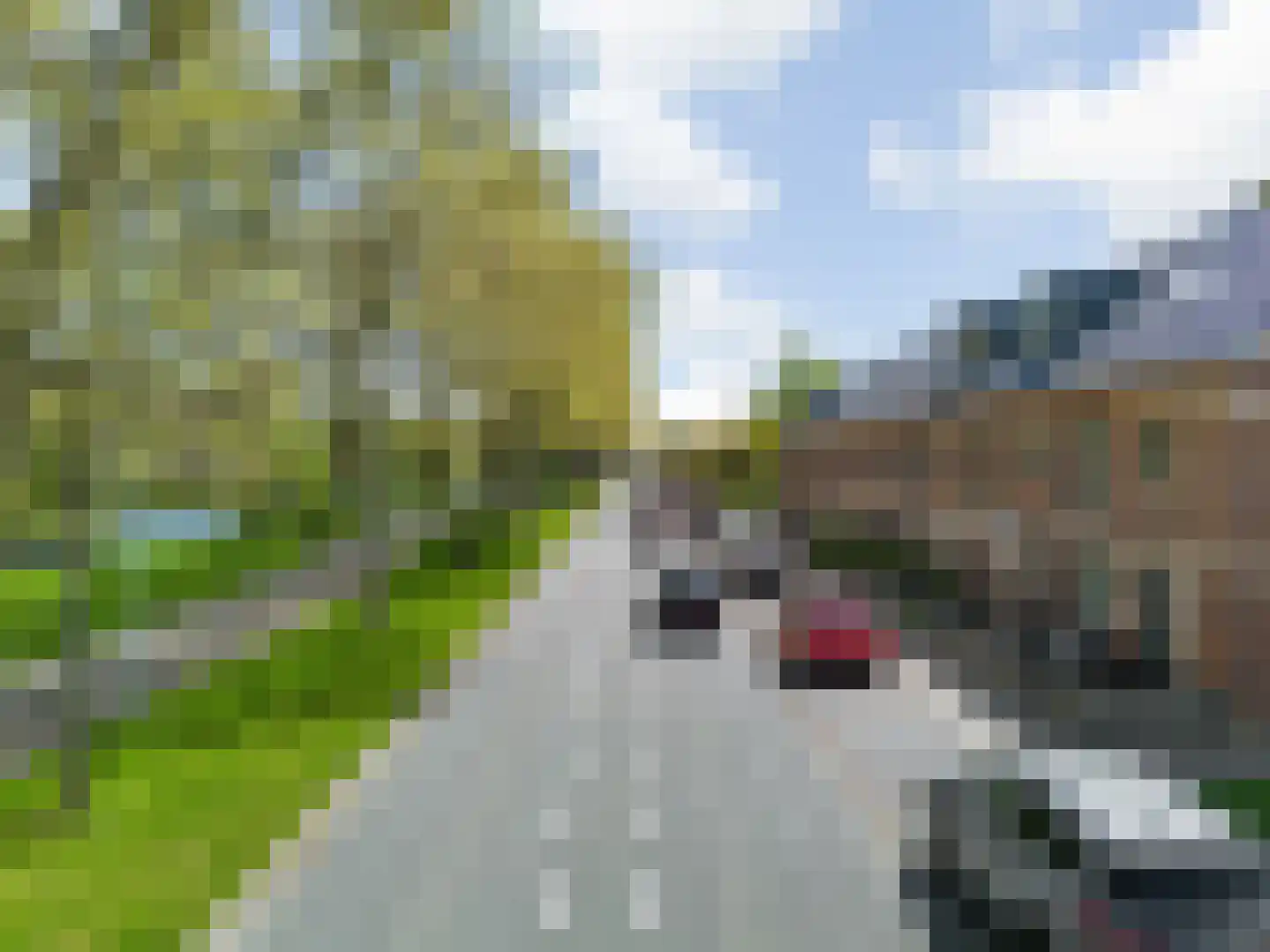 De Weer 38 U Zaandam thumbnail 34