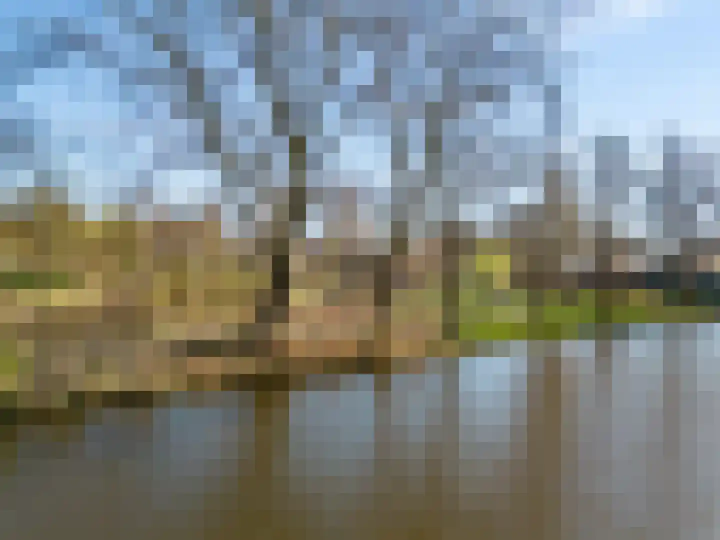 De Weer 38 U Zaandam thumbnail 35