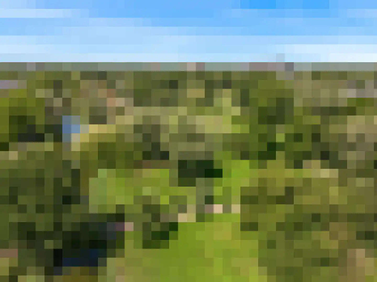 De Weer 38 U Zaandam thumbnail 36
