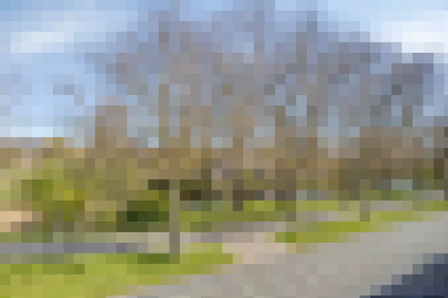 De Weer 39 F Zaandam thumbnail 57